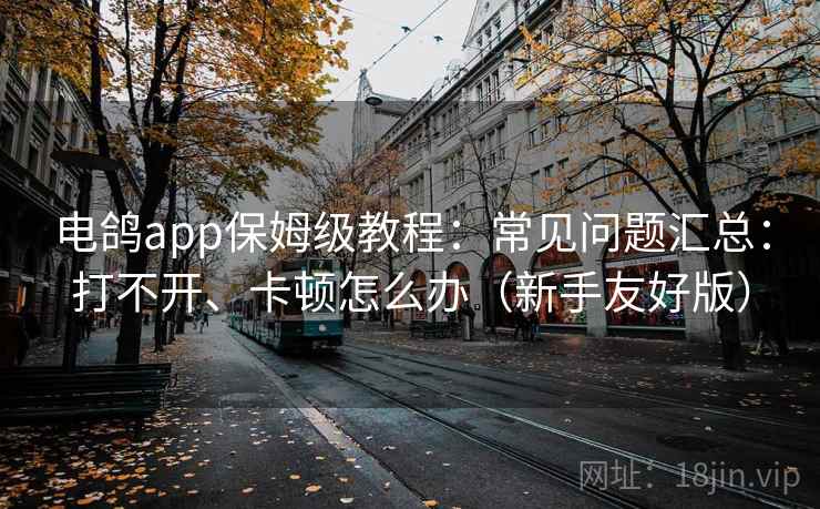 电鸽app保姆级教程：常见问题汇总：打不开、卡顿怎么办（新手友好版）