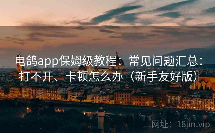 电鸽app保姆级教程：常见问题汇总：打不开、卡顿怎么办（新手友好版）