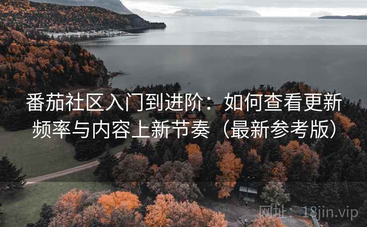 番茄社区入门到进阶：如何查看更新频率与内容上新节奏（最新参考版）