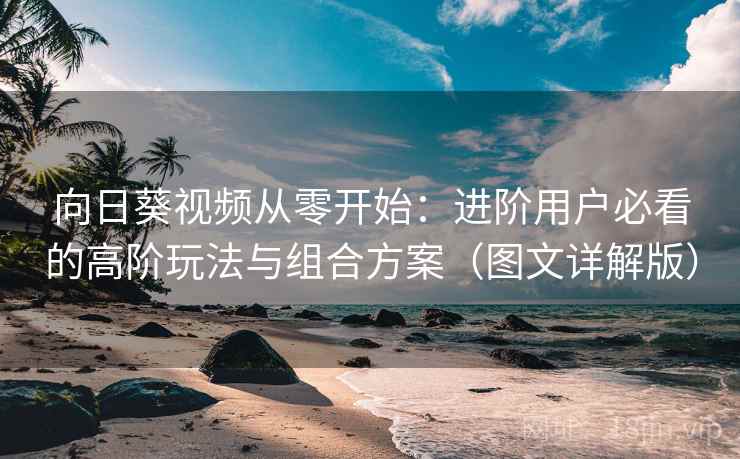 向日葵视频从零开始:进阶用户必看的高阶玩法与组合方案(图文详解版) 向日葵视频从零开始:进阶用户必看的高阶玩法与组合方案(图文详解版)