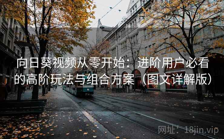 向日葵视频从零开始:进阶用户必看的高阶玩法与组合方案(图文详解版) 向日葵视频从零开始:进阶用户必看的高阶玩法与组合方案(图文详解版)