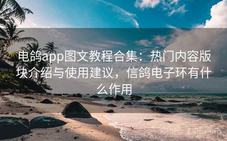 电鸽app图文教程合集:热门内容版块介绍与使用建议,信鸽电子环有什么作用 电鸽app图文教程合集:热门内容版块介绍与使用建议,信鸽电子环有什么作用