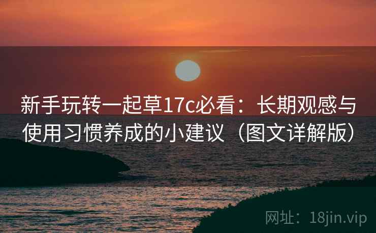 新手玩转一起草17c必看：长期观感与使用习惯养成的小建议（图文详解版）