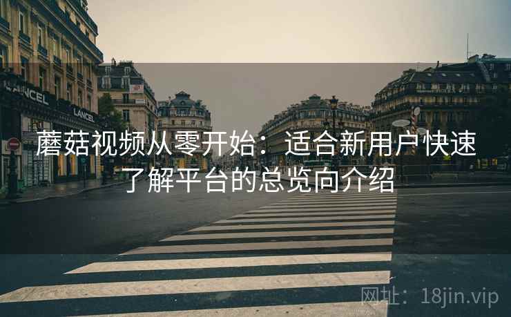蘑菇视频从零开始:适合新用户快速了解平台的总览向介绍 蘑菇视频从零开始:适合新用户快速了解平台的总览向介绍