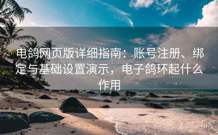 电鸽网页版详细指南:账号注册、绑定与基础设置演示,电子鸽环起什么作用 电鸽网页版详细指南:账号注册、绑定与基础设置演示,电子鸽环起什么作用