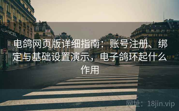 电鸽网页版详细指南:账号注册、绑定与基础设置演示,电子鸽环起什么作用 电鸽网页版详细指南:账号注册、绑定与基础设置演示,电子鸽环起什么作用